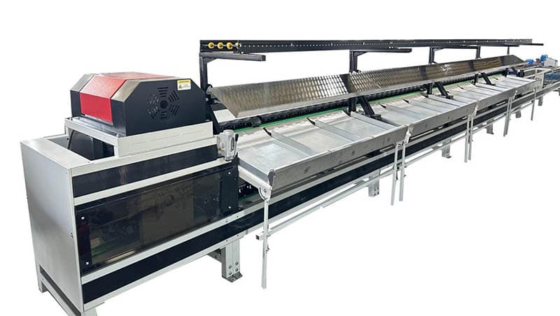 images/1709020617328Línea de clasificación de aguacates de Kenia,.jpg